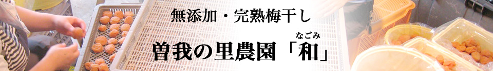 曽我の里「和」