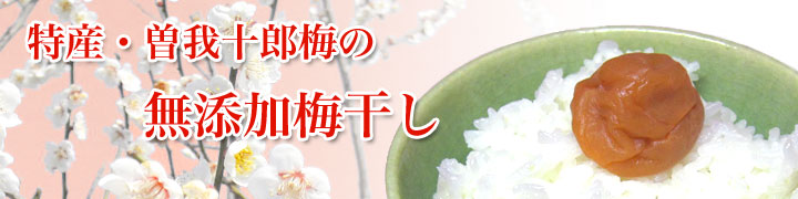 無添加十郎梅干し