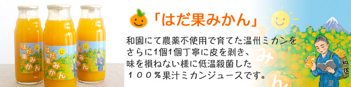 はだ果みかんジュース