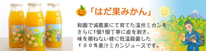 はだ果みかんジュース