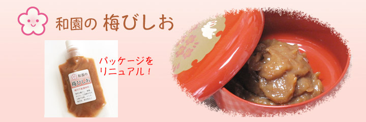 曽我のうめびしお 〜「和」園は神奈川県小田原市で特産の曽我十郎梅を