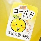 湘南ゴールドぜりー